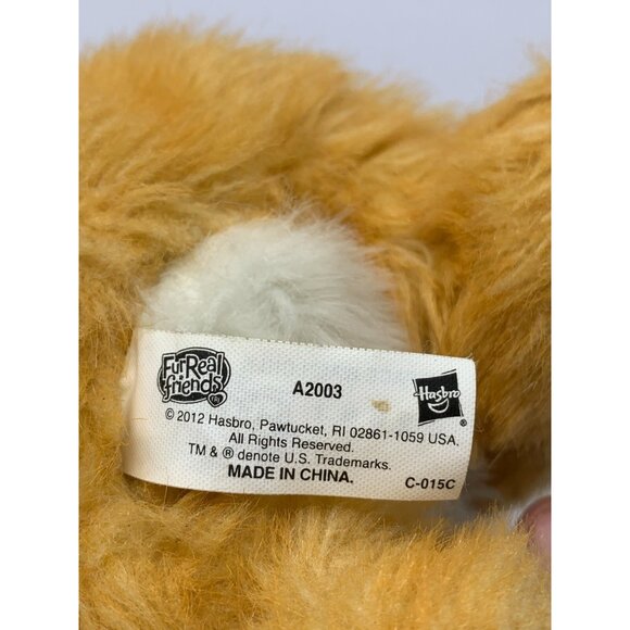 FurReal Friends Daisy Plays With Me Cat Interactive Plush Kitty Tested Moves - Picture 8 of 10